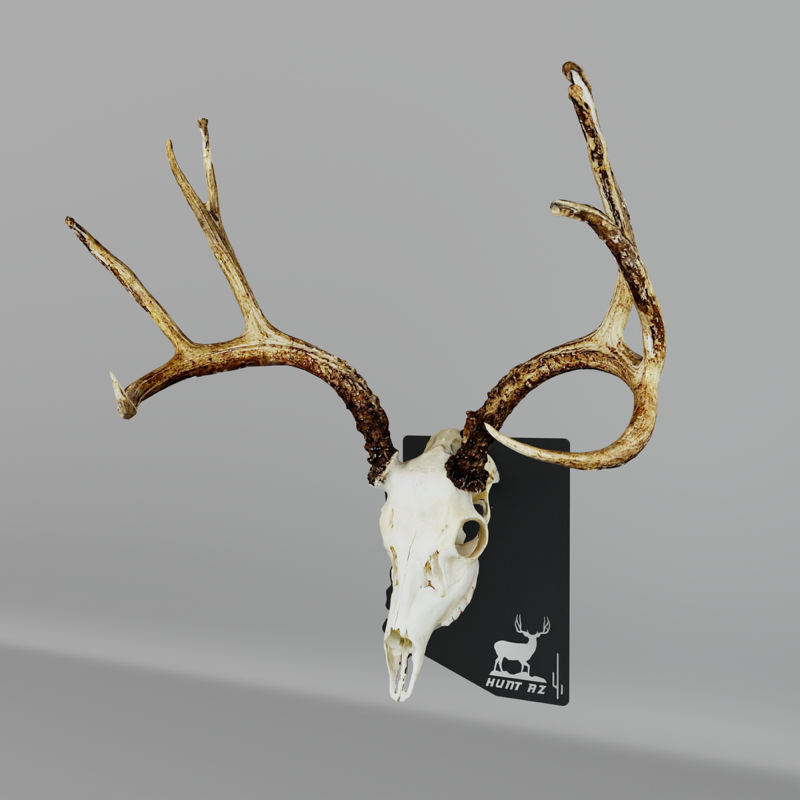 Hunt AZ Muley Mount