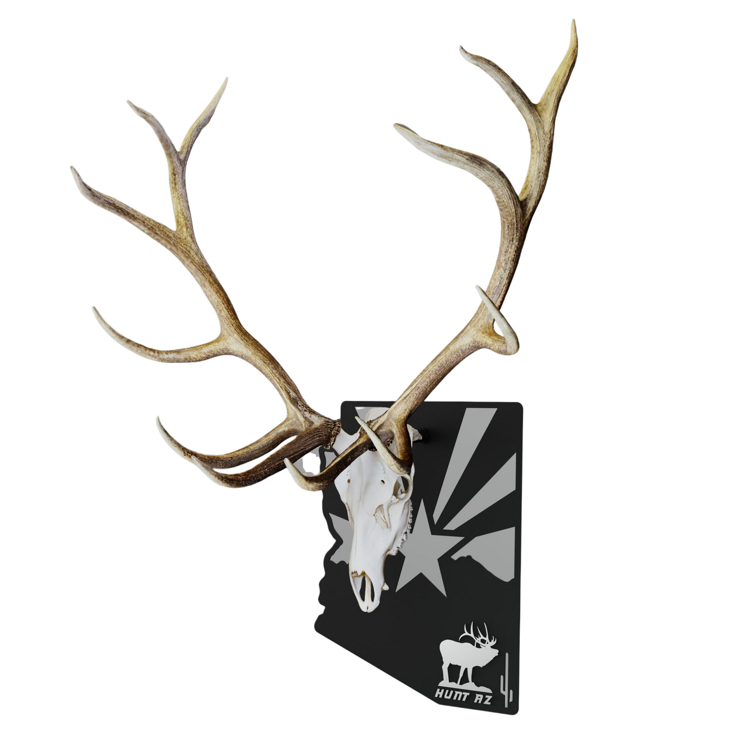 AZ Flag + SkulLok